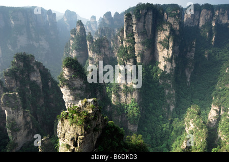 Felsformationen in Zhangjiajie National Forest Park, Wulingyuan Scenic Area, Provinz Hunan, China Stockfoto