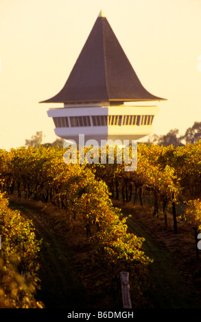 Mitchelton Winery, Victoria Australien Stockfoto