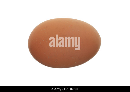Braun Ei auf weißem Hintergrund Stockfoto