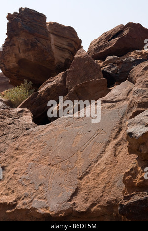 Alten Felszeichnungen gemacht durch die San-Buschmänner bei Twyfelfontein, Damaraland, Namibia Stockfoto