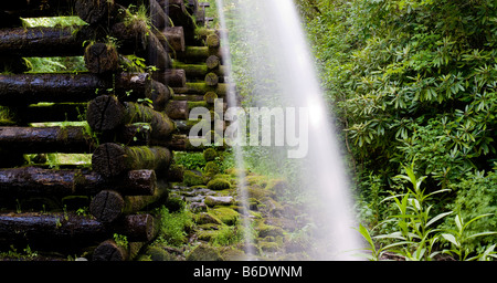 Mingus Mill, Great Smoky Mountains Nationalpark Stockfoto