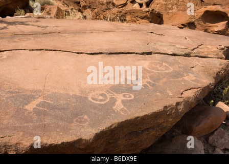 Alten Felsgravuren gemacht durch die San-Buschmänner bei Twyfelfontein, Damaraland, Namibia Stockfoto