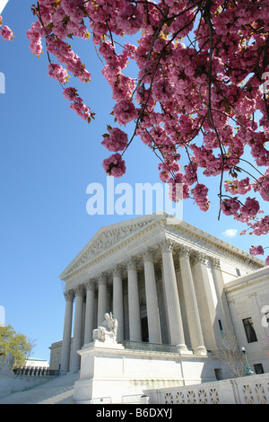 United States Supreme Court Gebäude und rosa Kirschblüten in Washington DC USA Textfreiraum Stockfoto