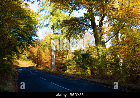 Einen sonnigen Herbsttag entlang einer leeren Straße die A592 in den Lake District National Park Cumbria England UK Stockfoto