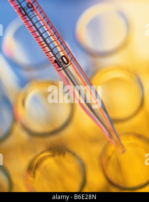 Pipette und Reagenzgläser. Pipette stellt eine chemische Lösung in einer der mehrere Reagenzgläser. Stockfoto