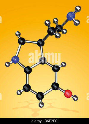 Serotonin-Molekül. Molekulares Modell des Theneurotransmitter (Nerv Signalisierung chemische) Serotonin (5-Hydroxytryptamine) Stockfoto