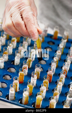 Blutproben. Researcherselecting eine von vielen Barcode Test Tubescontaining Blutproben. Stockfoto