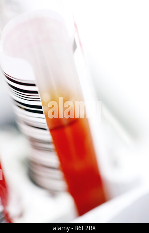 Blutprobe in einem Reagenzglas Barcode Stockfoto