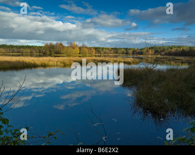 WOODGREEN SEE IN DEN FOREST OF DEAN GLOUCESTERSHIRE UK Stockfoto