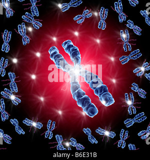 Computer-Grafik der Chromosomen Stockfoto