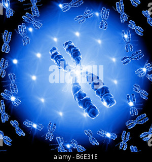 Computer-Grafik der Chromosomen Stockfoto