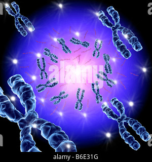 Computer-Grafik der Chromosomen Stockfoto
