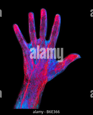 Hand-Blut-Versorgungsmaterial Stockfoto