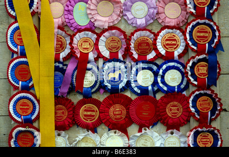 Rosetten und Bänder Auszeichnungen von Pferdeshows und Gymkhana. Stockfoto