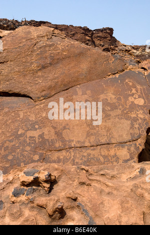 Alten Felszeichnungen gemacht durch die San-Buschmänner bei Twyfelfontein, Damaraland, Namibia Stockfoto