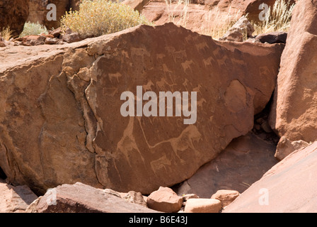 Alten Felszeichnungen gemacht durch die San-Buschmänner bei Twyfelfontein, Damaraland, Namibia Stockfoto