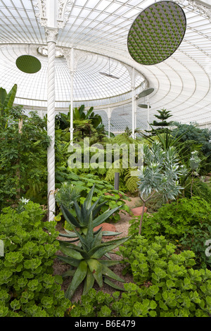 Die restaurierten Kibble Palace Gewächshaus im Botanischen Garten Glasgow, Glasgow, Schottland Stockfoto