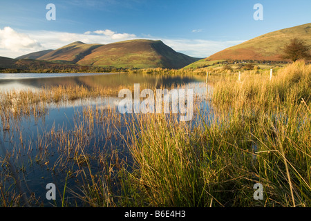 Tewet Tarn im Abendlicht mit Blick auf Skiddaw und Blencathra Seenplatte Cumbria Uk Stockfoto