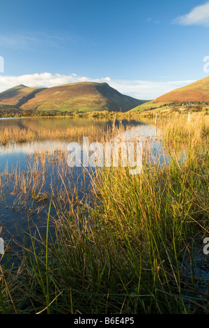 Tewet Tarn im Abendlicht mit Blick auf Skiddaw und Blencathra Seenplatte Cumbria Uk Stockfoto