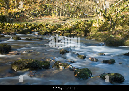 Fluß Rothay zwischen Grasmere und Rydal Wasser Seenplatte Cumbria Uk Stockfoto