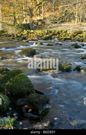 Fluß Rothay zwischen Grasmere und Rydal Wasser Seenplatte Cumbria Uk Stockfoto