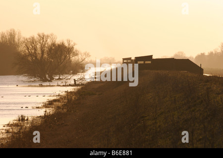 Ouse wäscht RSPB Reserve in der Abenddämmerung, Cambridgeshire Stockfoto