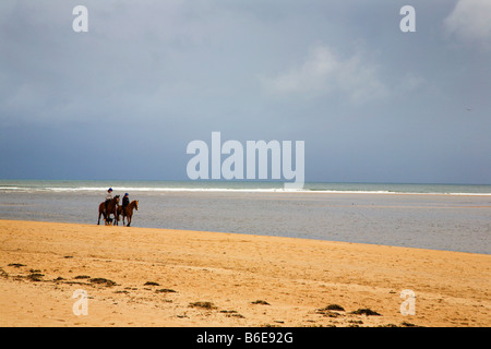 Zwei Reiter und ein Hund auf Alnmouth Strand Northumberland, England Stockfoto