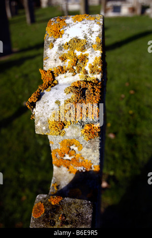 Flechten auf Grabstein, Str. Peters Kirche, Boughton Monchelsea, Kent, England, UK Stockfoto