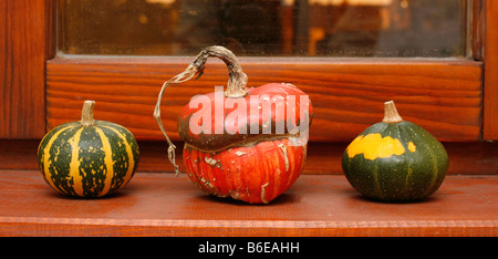 Drei verschiedene Kürbisse auf Fensterbank im Haus Stockfoto