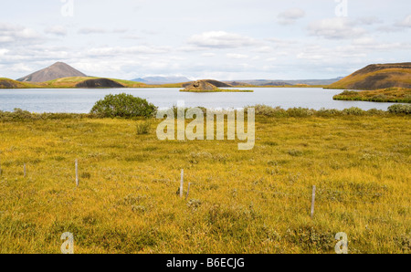 Ansicht der Mývatn-See, mit grasbewachsenen Pseudocraters.  Der See liegt in einem aktiven vulkanischen Gebiet in Nordisland Stockfoto