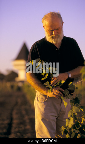 Mitchelton Winery, Victoria, Australien Stockfoto