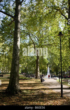 Russell Square im Herbst. Bloomsbury, London, England, UK Stockfoto