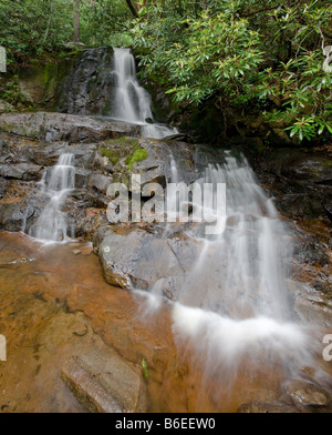 Laurel Falls, Great Smoky Mountains Nationalpark Stockfoto