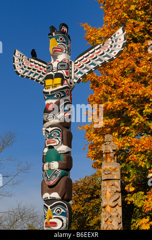Kakasolas und Biber Crest Totempfähle Aborigines Holzschnitzerei im Stanley Park Vancouver mit raven auf blauen Himmel und Herbstlaub Stockfoto