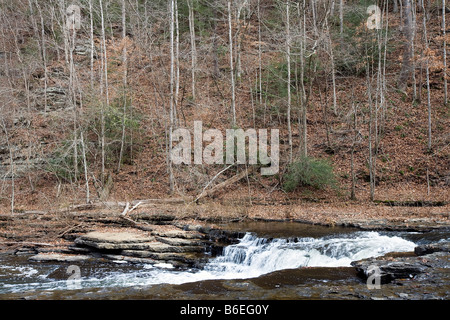 Burgess Falls State Park in der Nähe von Cookeville Tennessee sind die Wasserfälle am Fluss fallende Wasser Stockfoto