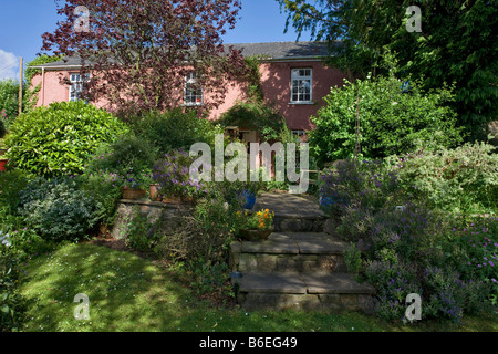 ROSA COUNTRY STEINMAUER COTTAGE SCHRITTE UND BAUERNGARTEN UK Stockfoto