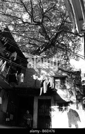 Alten kantonesische Seitenstraßen in Guangzhou, China. Unterschicht chinesische Bürger leben in friedlicher Koexistenz mit Umgebung Stockfoto