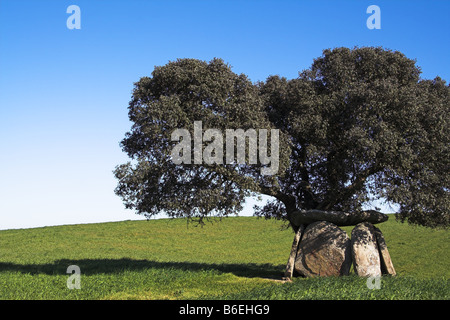 Andreiros Dolmen in Crato, Portalegre, Portugal. befindet sich unter einer Korkeiche. Stockfoto