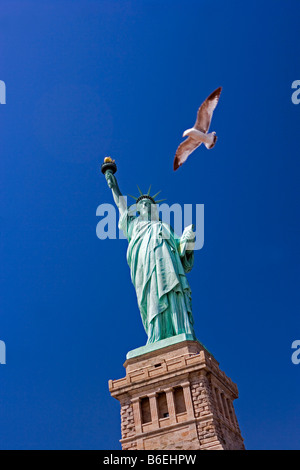 USA, New Jersey, Freiheitsstatue auf Liberty Island. Fliegende Möwe Stockfoto