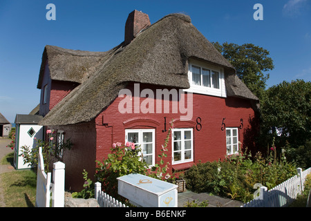 Friesische Haus im Nebel Gemeinschaft, Insel Amrum, Nordfriesland, Schleswig-Holstein, Deutschland, Europa Stockfoto