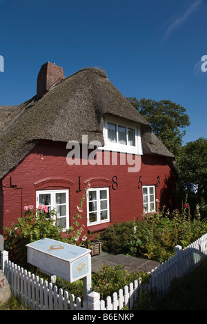 Friesische Haus im Nebel Gemeinschaft, Insel Amrum, Nordfriesland, Schleswig-Holstein, Deutschland, Europa Stockfoto