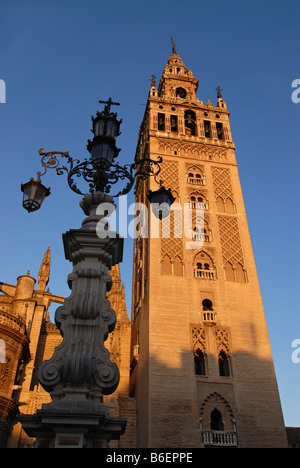Giralda, der Turm der Kathedrale von Sevilla im weichen frühen Morgenlicht und einer Straßenlaterne, Sevilla, Andalusien, Spanien, Europa Stockfoto