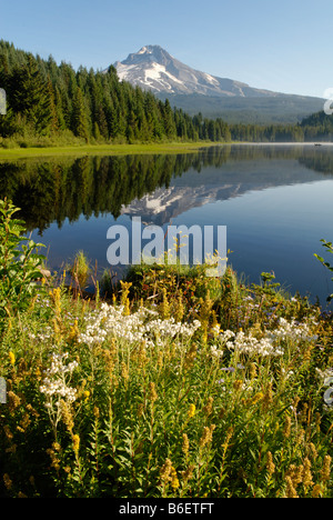 Trillium Lake und Mount Hood Vulkan, Kaskade-Strecke, Oregon, USA Stockfoto