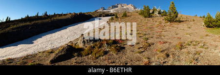 Vulkan Mount Hood, Südflanke, Panorama, Kaskade-Strecke, Oregon, USA Stockfoto