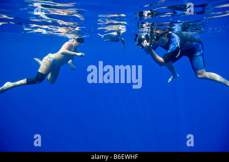 USA Hawaii Big Island Unterwasserblick Fotograf und junge Frau im Bikini Schwimmen mit kleinen bedrohten grünen Meeresschildkröte Stockfoto