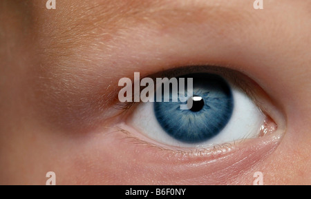 blaue Augen eines Babys Stockfoto