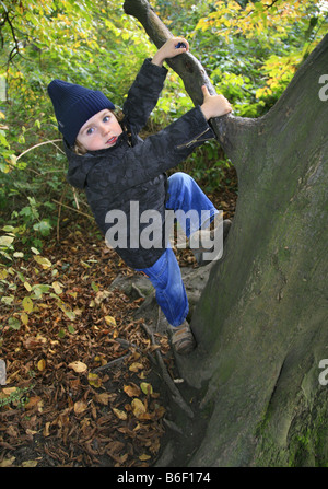 kleinen Jungen auf einen Baum klettern Stockfoto