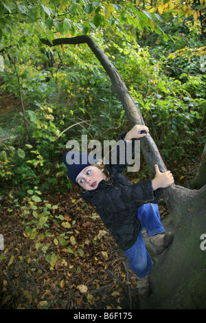 kleinen Jungen auf einen Baum klettern Stockfoto