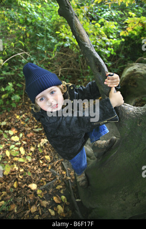 kleinen Jungen auf einen Baum klettern Stockfoto