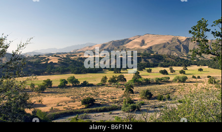 San Rafael Mountains Blick vom Paradise Road in Santa Ynez Mountains Kalifornien USA Stockfoto